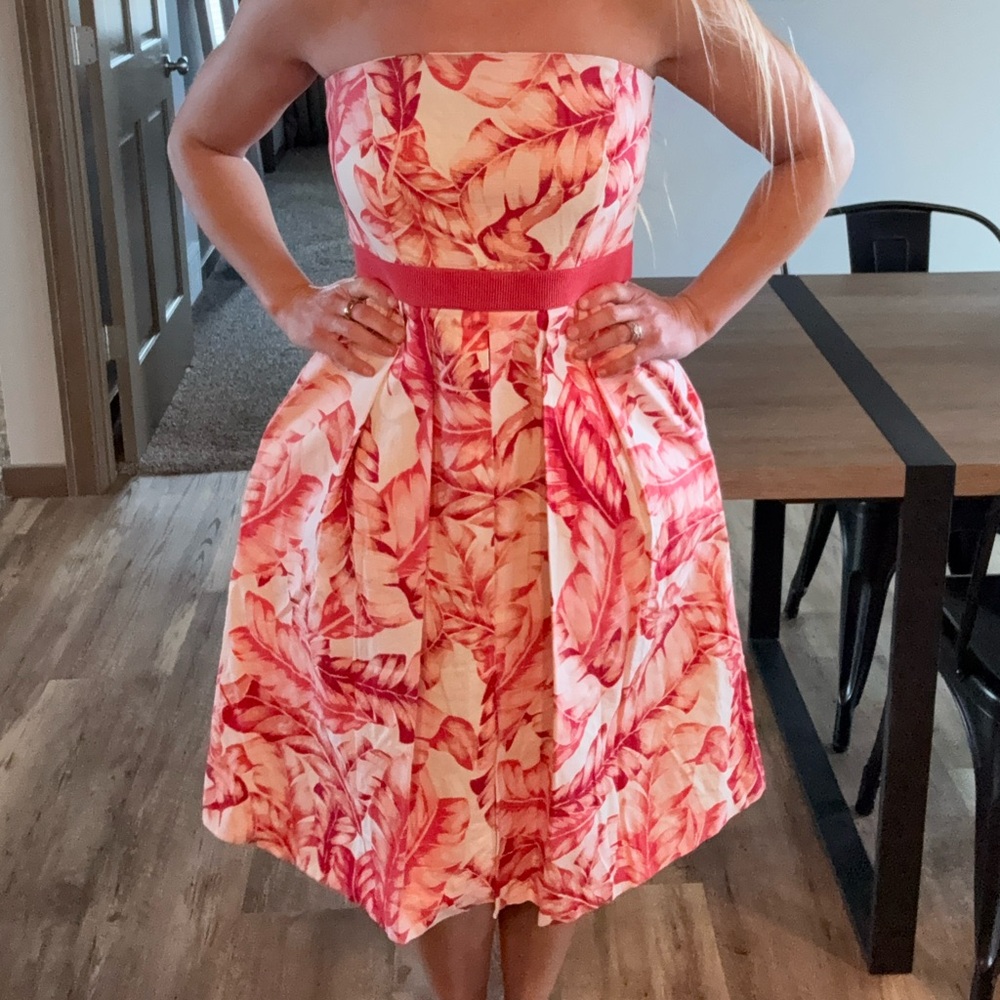 New York & Company Vibrant Pink and White High Low Dress